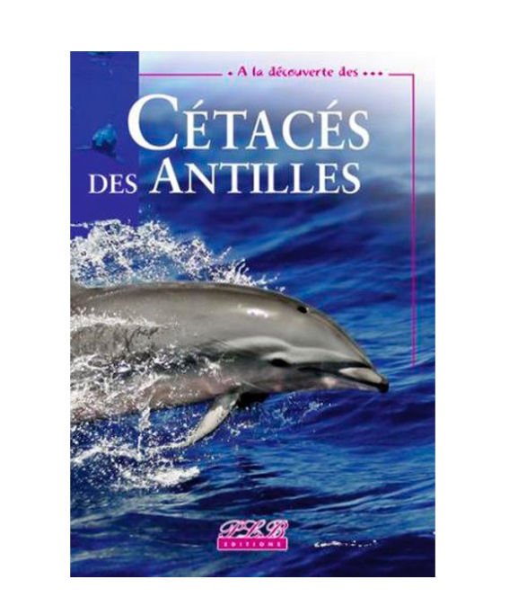 Cétacés des Antilles,