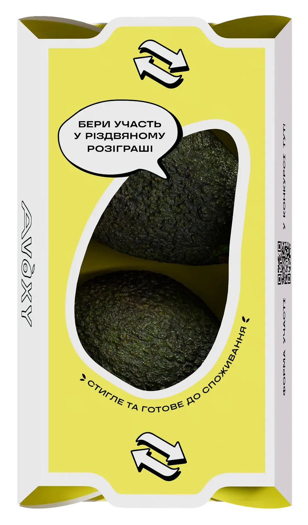 Frame 2087325628.webp