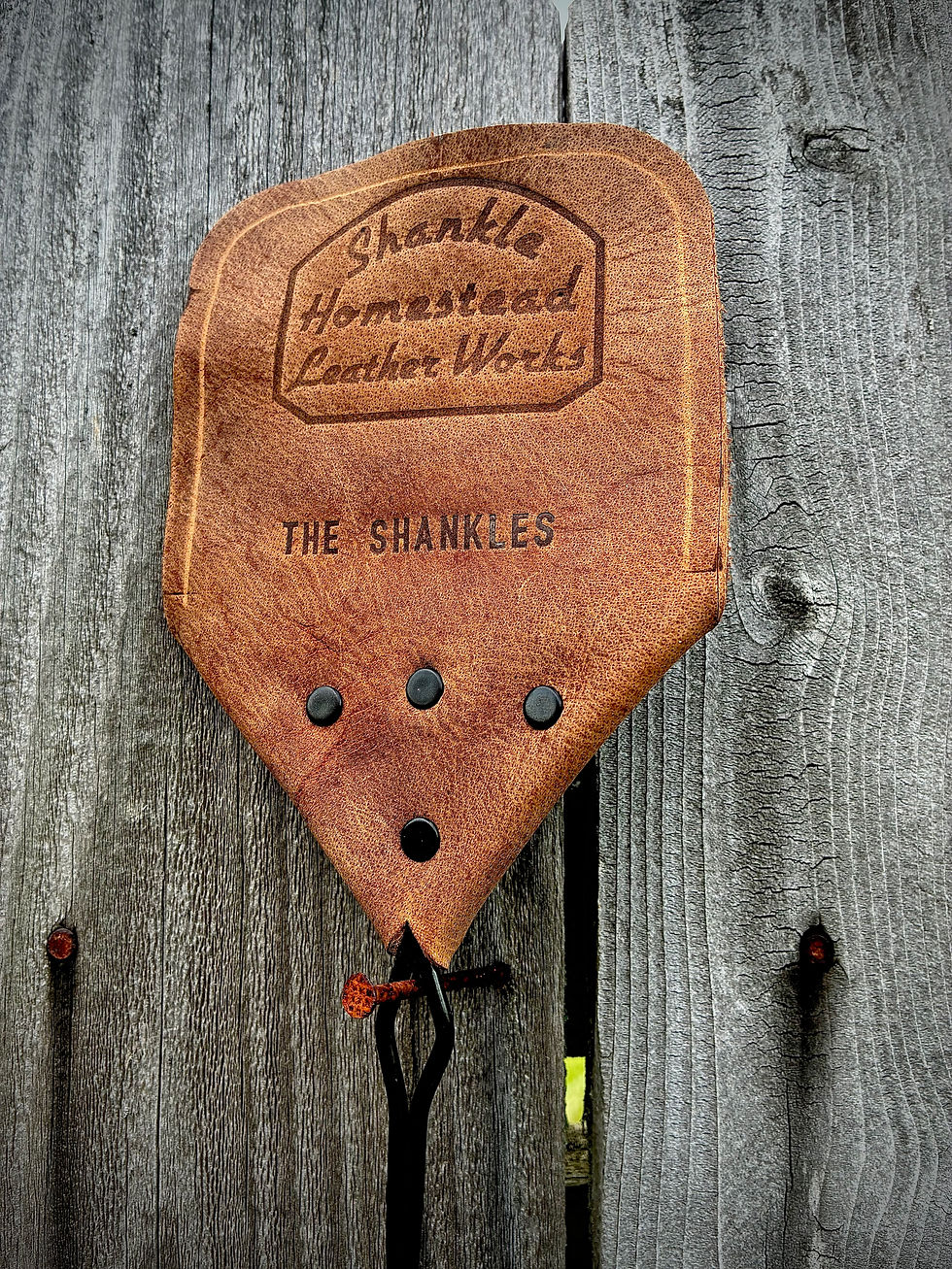 Thumbnail: Swatter2.0