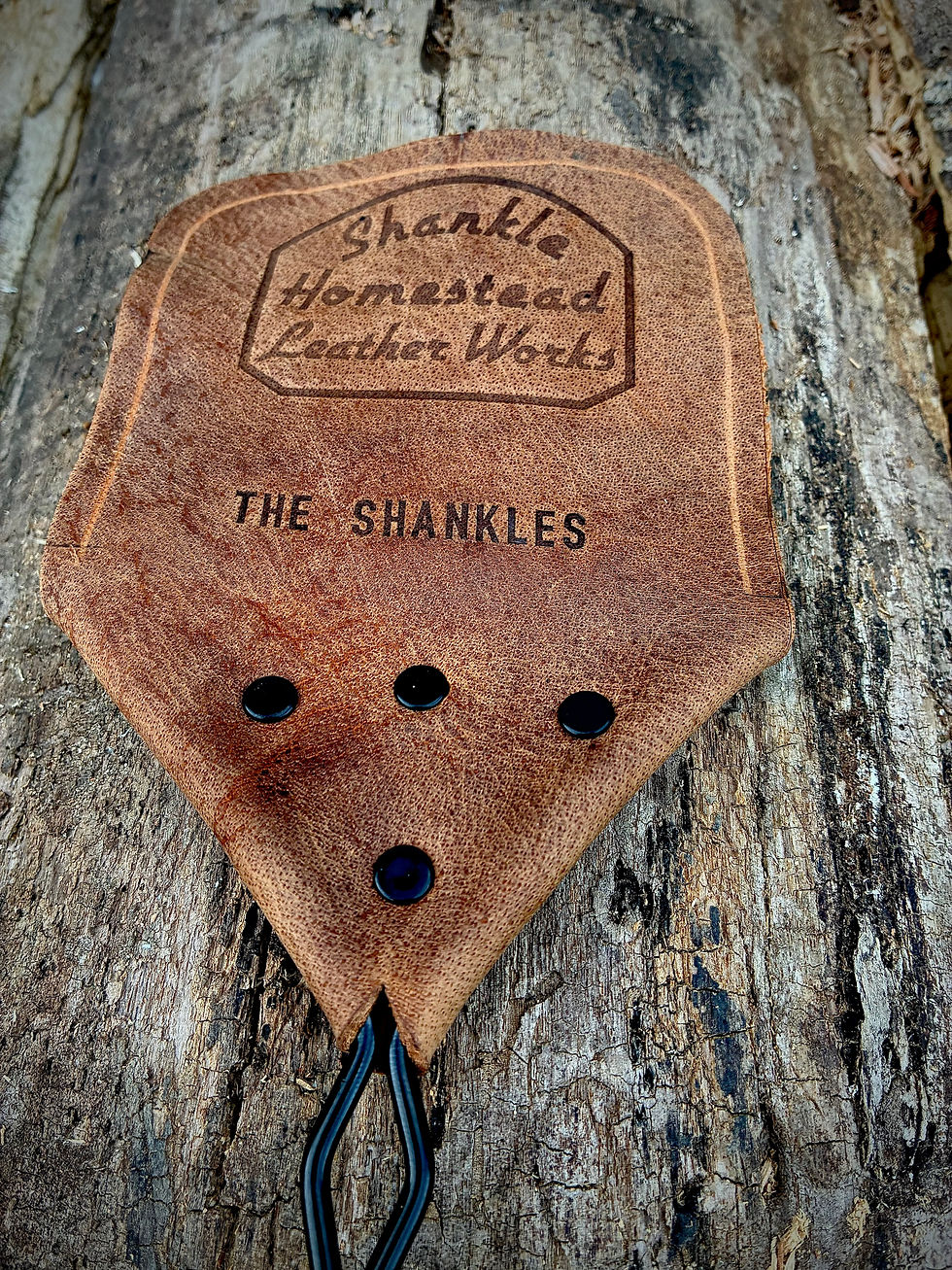 Thumbnail: Swatter2.0