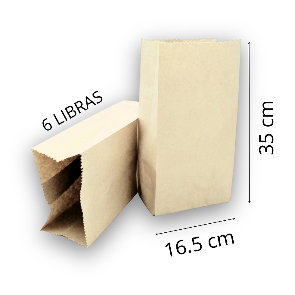 Bolsa Ecologica 6 Libras Papel