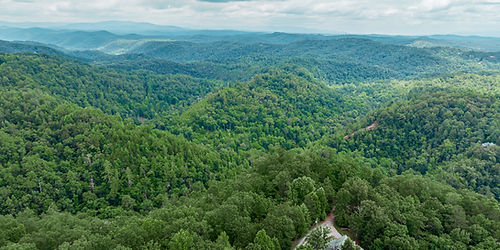 Adina REMAX Town and Country Ellijay