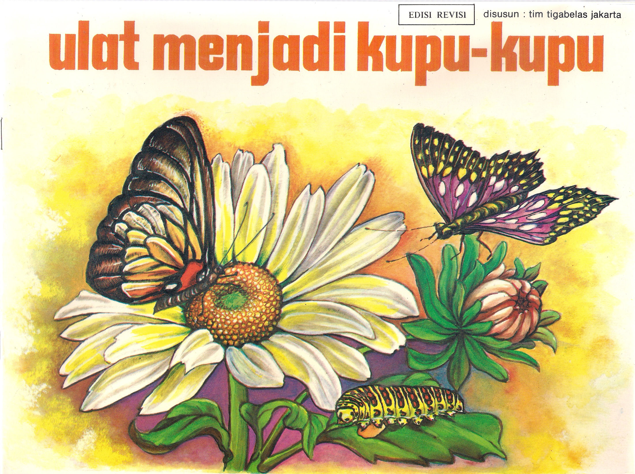 Ulat menjadi kupu_kupu – Caterpillars that becom