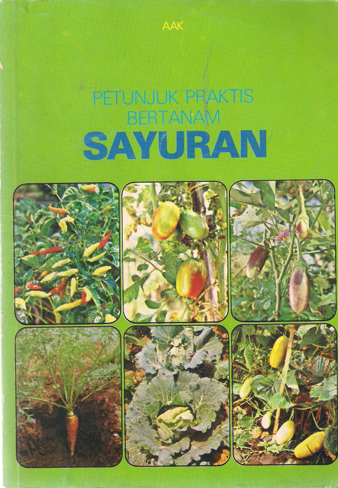 Petunjuk Praktis Bertanam – Sayuran