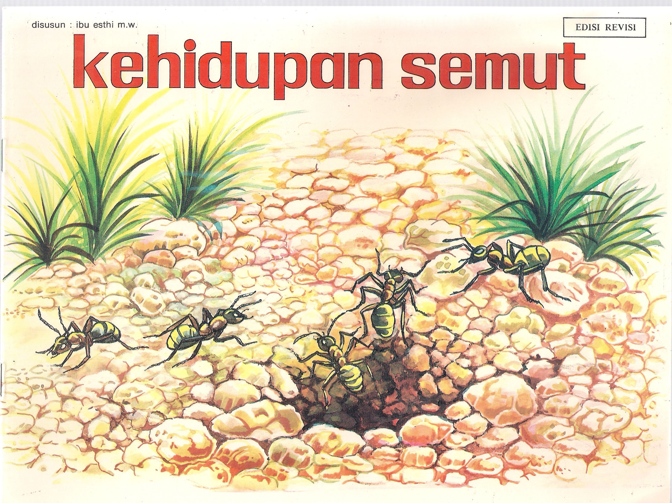 Kehidupan semut – The life of ants