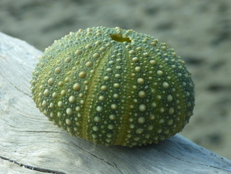 第百六十八話、一難去ってまた一難