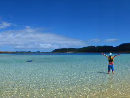 第百六十六話、かめはめ破