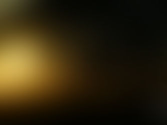 第二百話、Disc Golf  ブームの幕開け