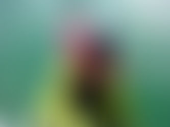 第六十四話、奇妙な岩がある対岸をめざして＠Raglan