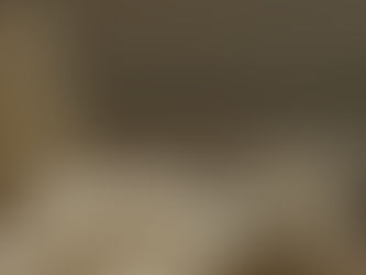 第二百三十八話、陶芸の世界へ（前編）