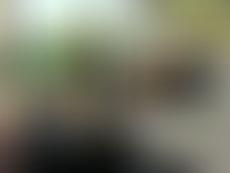 第十一話、Auckland郊外のCafeⅠ