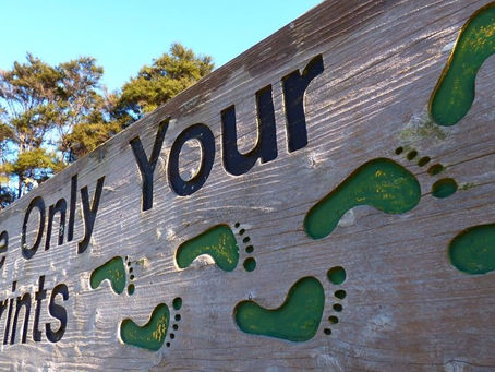 第八十二話、マオリの聖域と牡蠣スープ