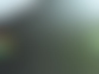 第百六十二話、Chrome bookでUSB＆SDカードの Data 見れないっ！