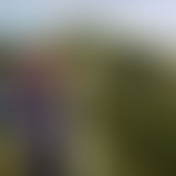 Hellvelyn & Striding Edge Guided Walk