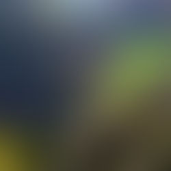 Great Gable Scrambling - Sphinx Ridge