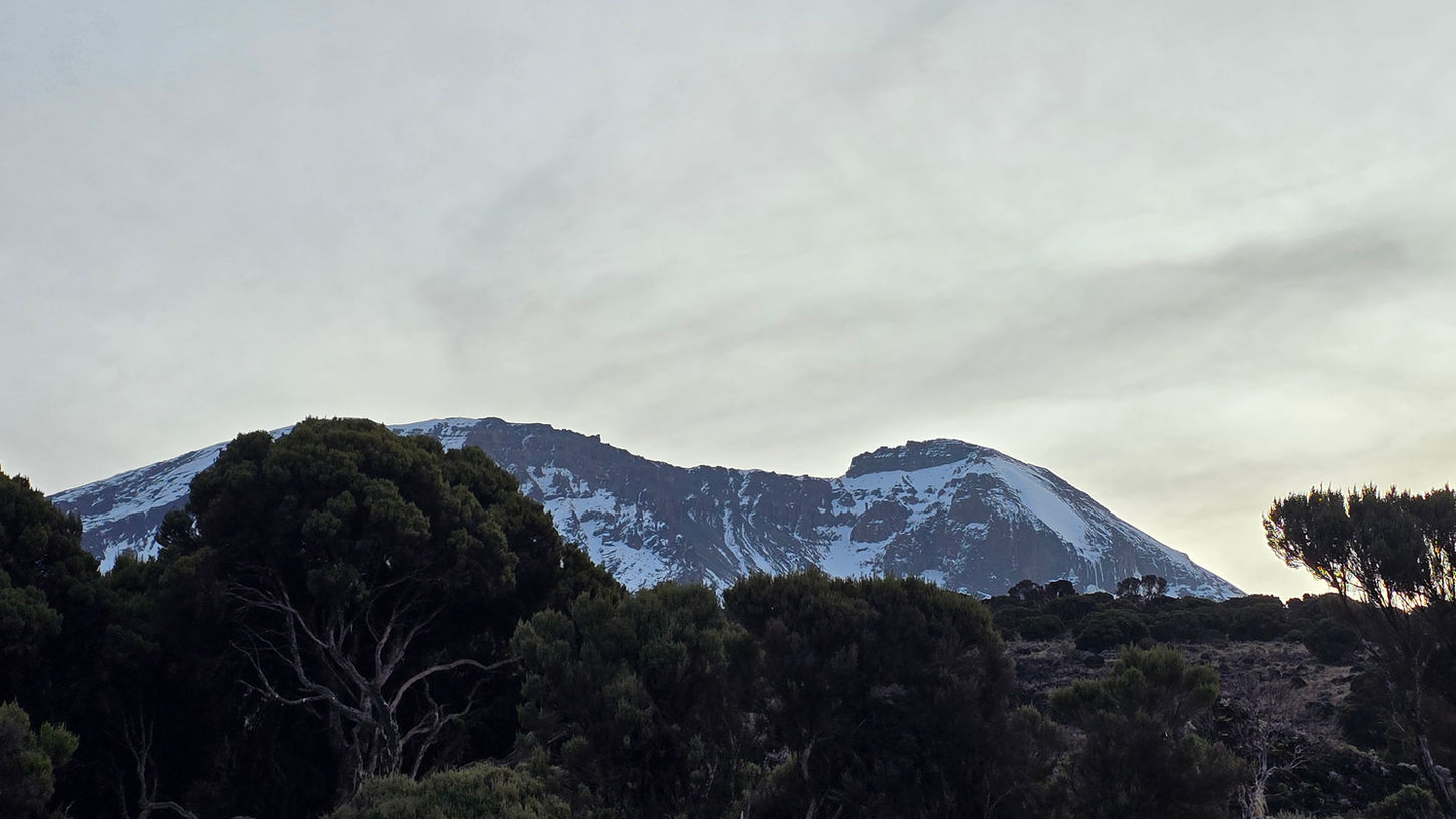 Kilimanjaro
