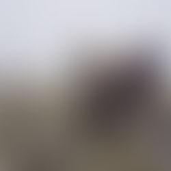 Scafell Pike Guided Walk