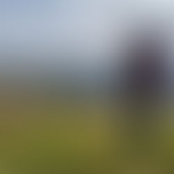 Navigation training course