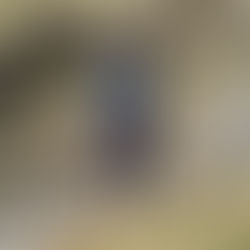 Security on Steep Ground Workshop