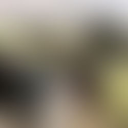 One Day Winter Skills Course - Lake District