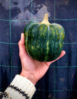Koginut Squash Green