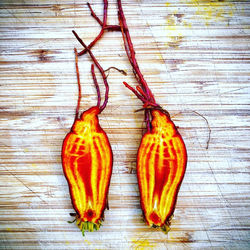 Flame beets open