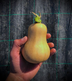 Honeynut Squash
