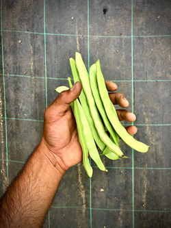 Beans