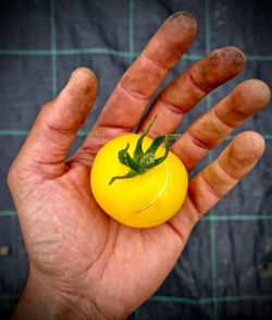 Yellow Tomato