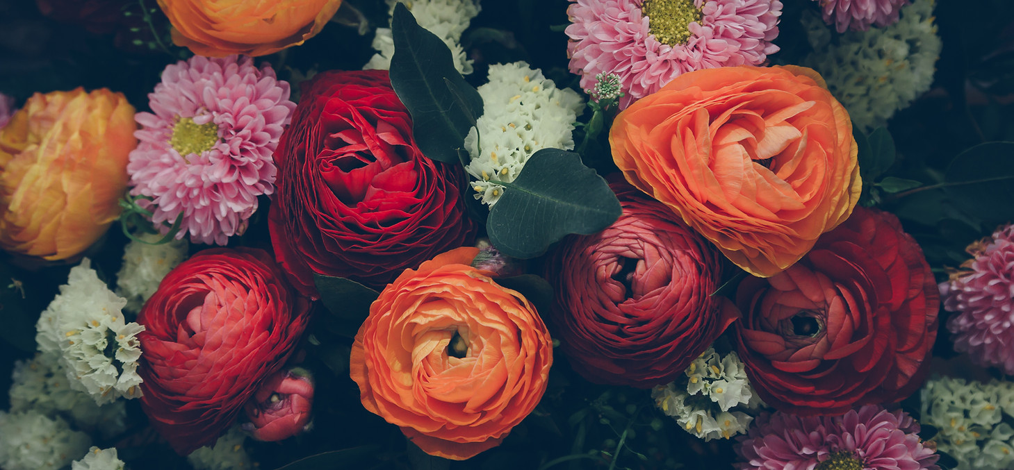Colorful Flowers