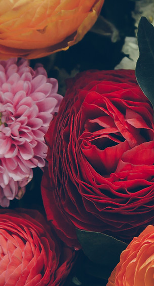 Colorful Flowers