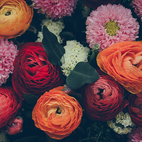 Colorful Flowers