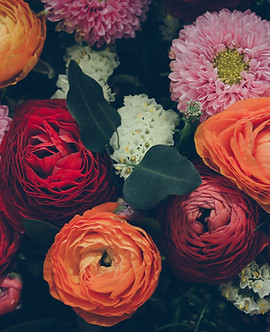 Colorful Flowers
