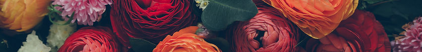 Colorful Flowers