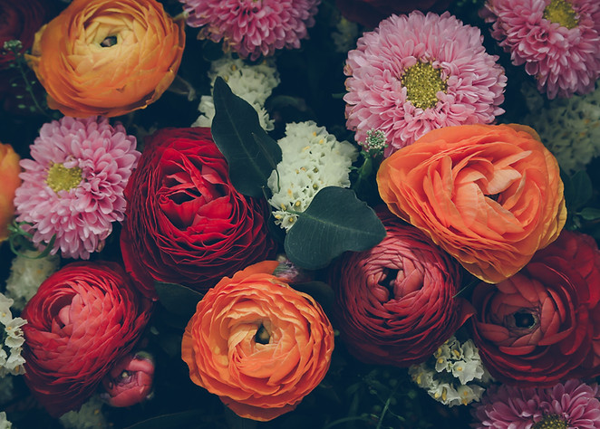 Colorful Flowers