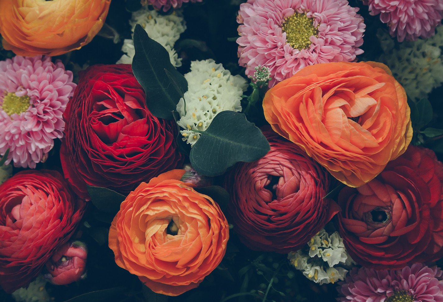 Colorful Flowers