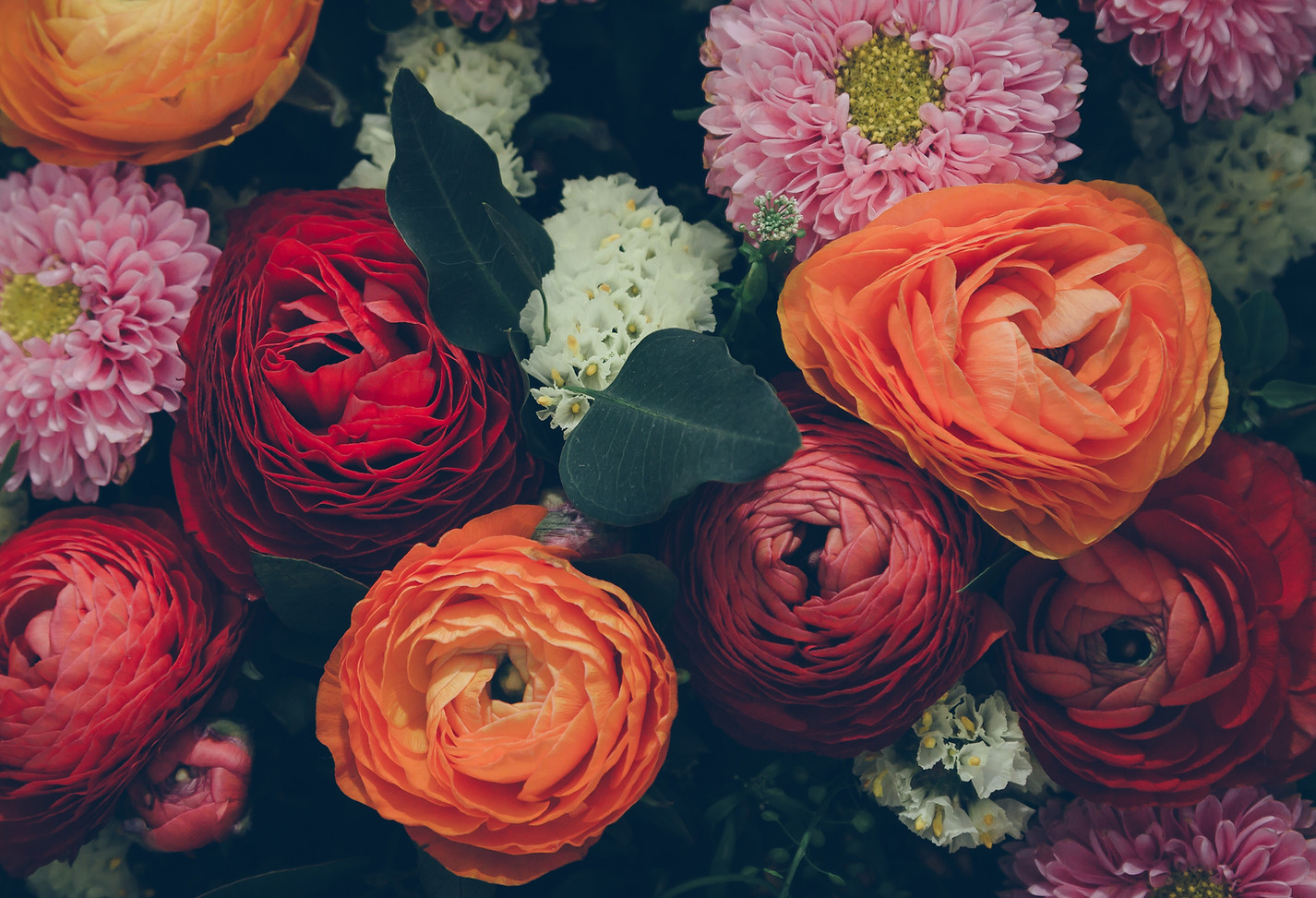 Colorful Flowers