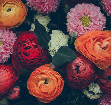 Colorful Flowers