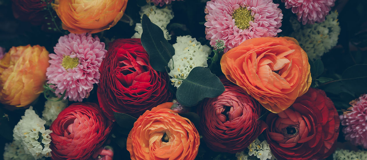 kleurrijke Bloemen