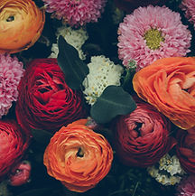 Colorful Flowers