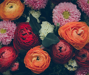 Colorful Flowers