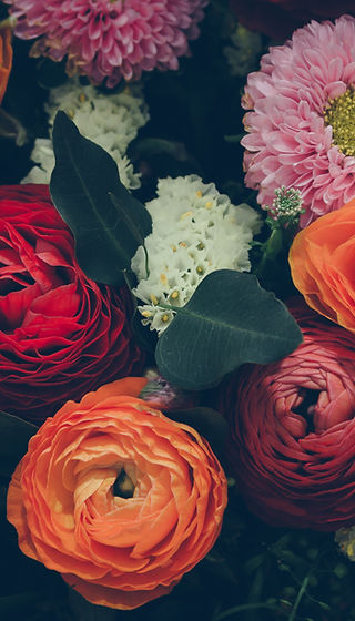 Colorful Flowers