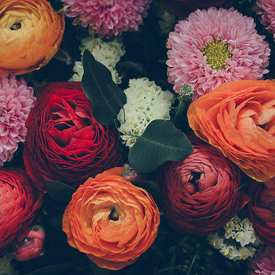 Colorful Flowers