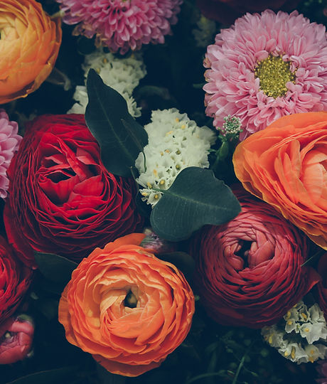 Colorful Flowers