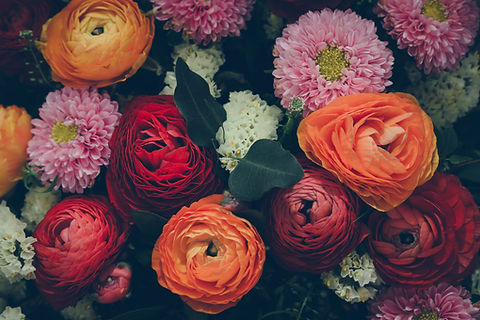 Colorful Flowers