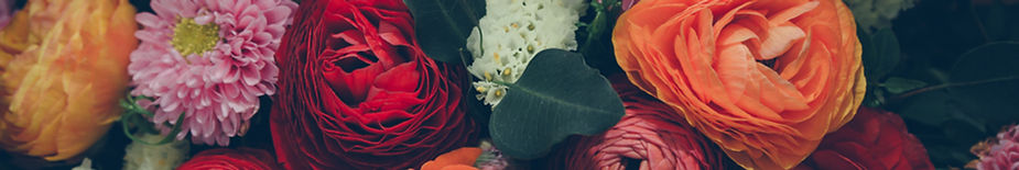 Colorful Flowers