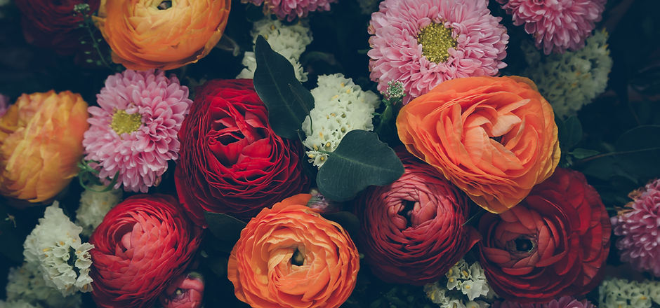 Colorful Flowers
