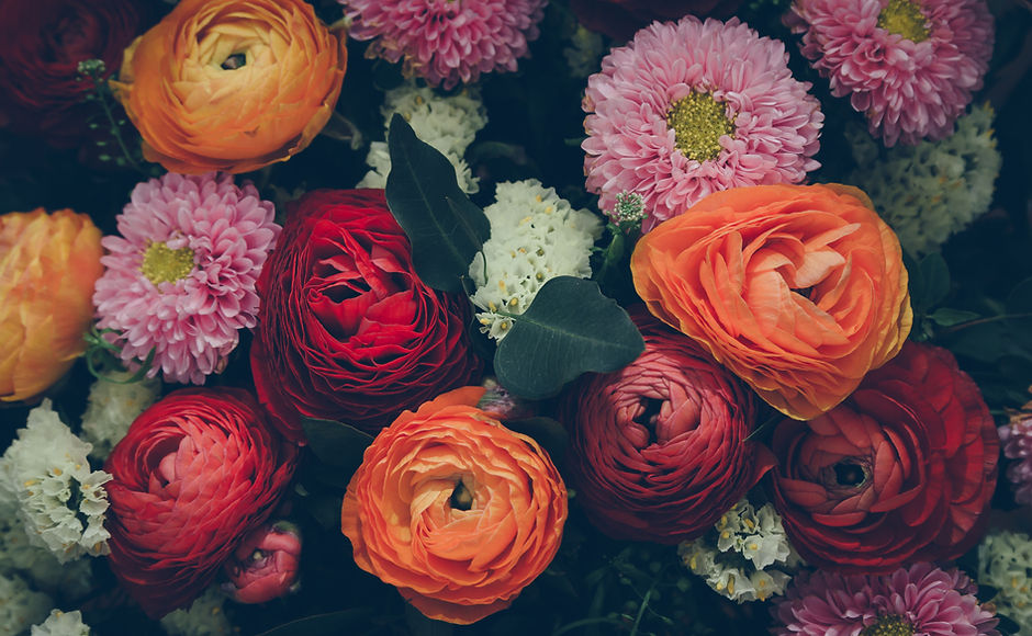 Colorful Flowers
