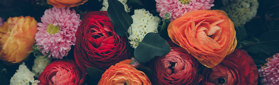 Colorful Flowers