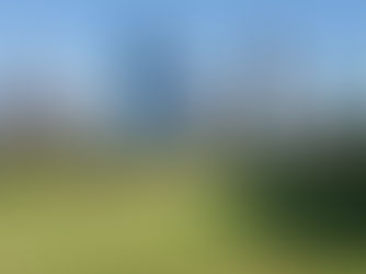 Exploring Houston's Best Neighborhoods for Family Living